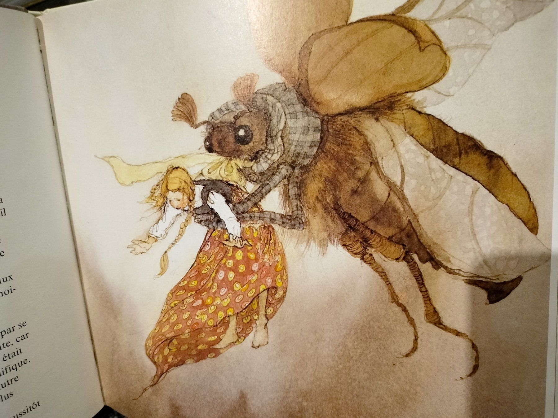 Bücher: POUCETTE un conte d'Andersen illustré par Lisbeth Zwerger – Gebraucht aus Cortaillod von  5