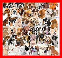 Hund Dog Chien Pitbull Rottweiler Pudel 50 tlg Stickerset