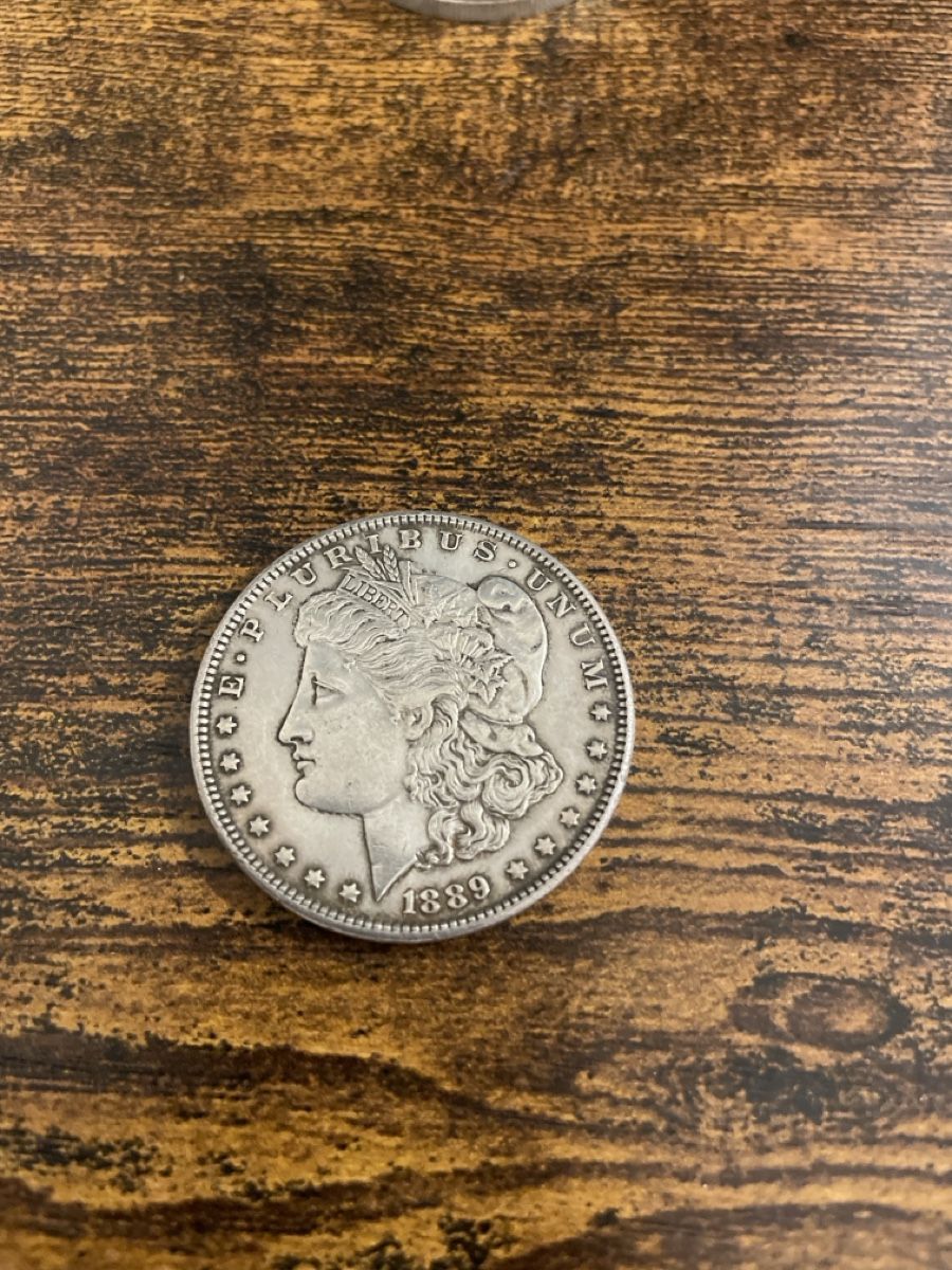 Tutti le monete: 1889 Morgan Silver Dollar – Usato da Remigen venduto da aganguly 1