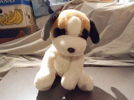 Hund sitzend, schwarze Ohren/Bauch weiss