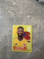 Panini COL 10