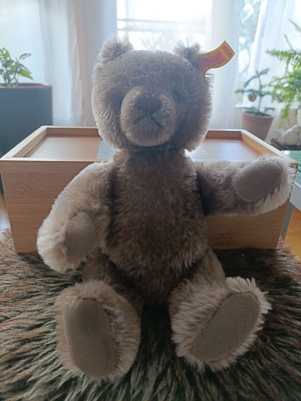 Steiff Giocattoli: Süsser Steiff Teddybär, 40 Jahre alt – Nuovo (secondo la descrizione) da Schinznach Bad venduto da knucker