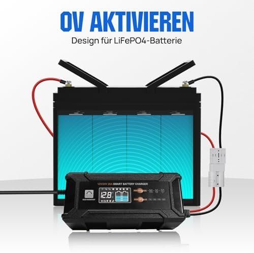 Accus & piles: LiFePO4 Batterieladegerät mit Multi-Current – Neuf avec emballage d'origine à Hundwil par Mr.Wong 4