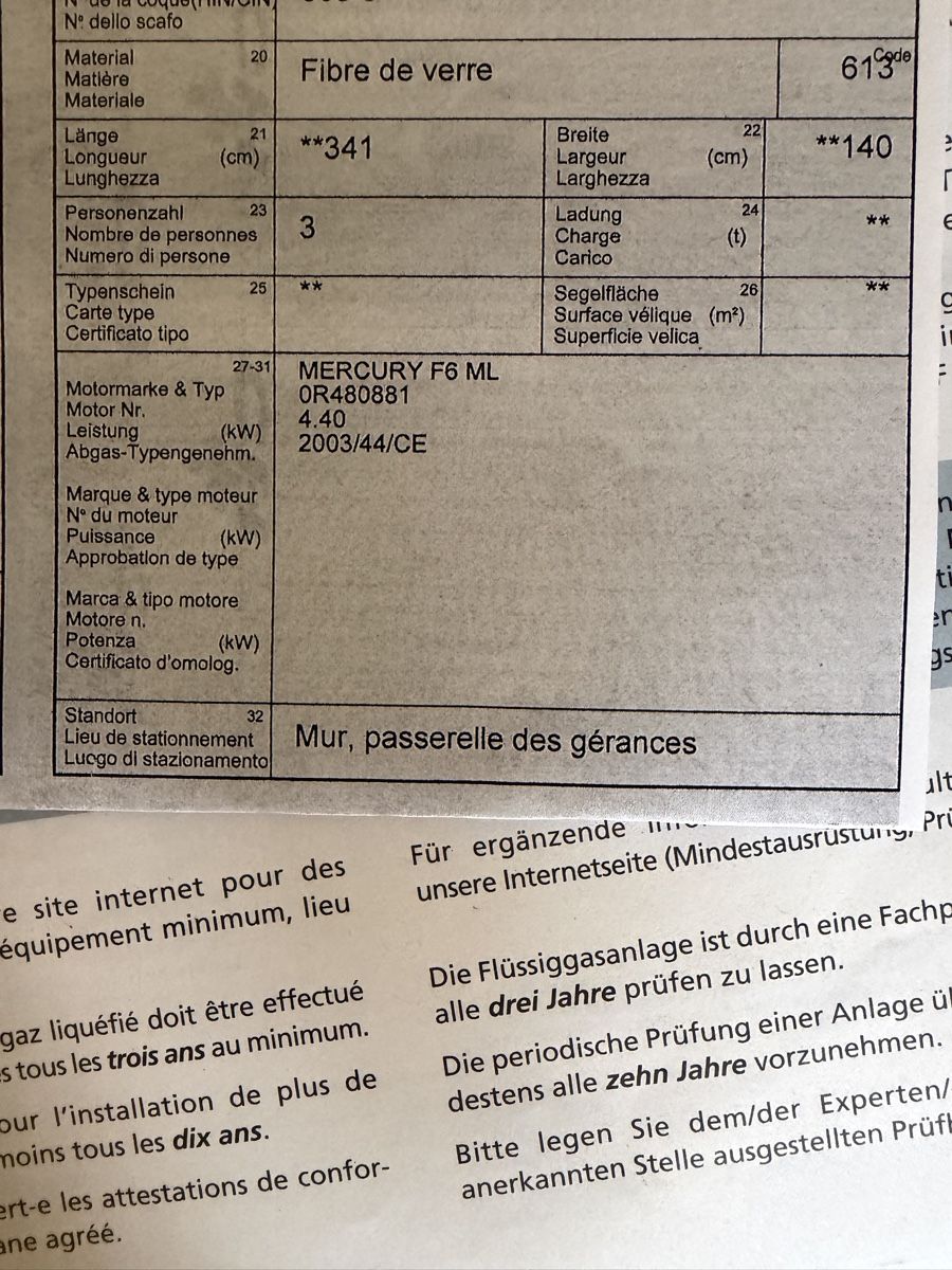 Mercury Motori: Mercury 6ps 4Takt – Usato da Murten venduto da Ski-Outlet 5