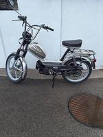Pony 503 GTX