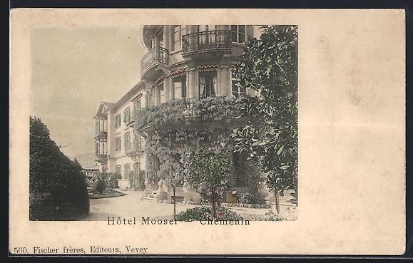 Cartoline postali: AK Vevey, Chemenin, Das Hotel Mooser – Usato da Berlin venduto da bartko-reher