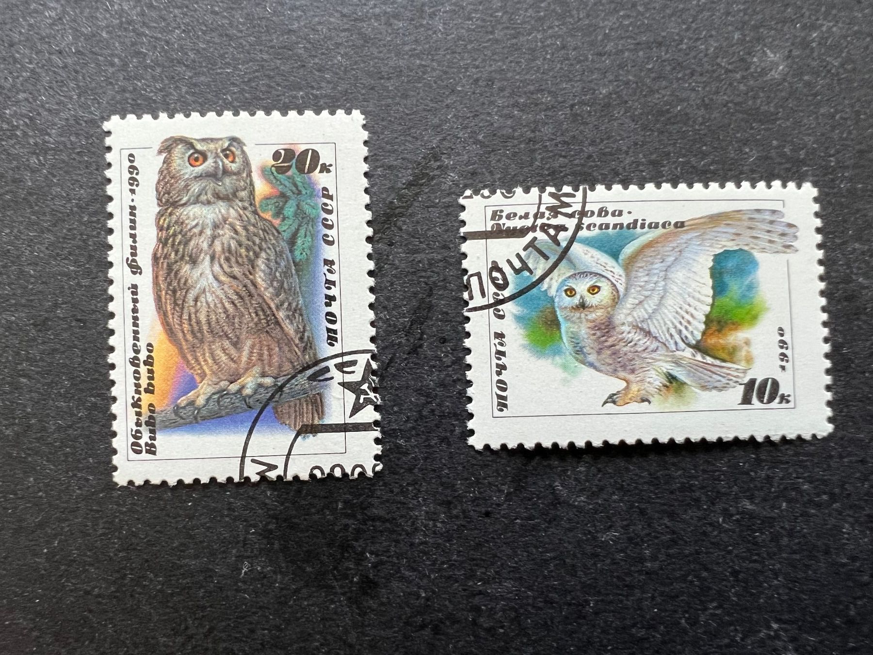 Tutti i francobolli: Russia CCCP  1990 Eulen gest. (D904) – Usato da Hinwil venduto da Sidi4