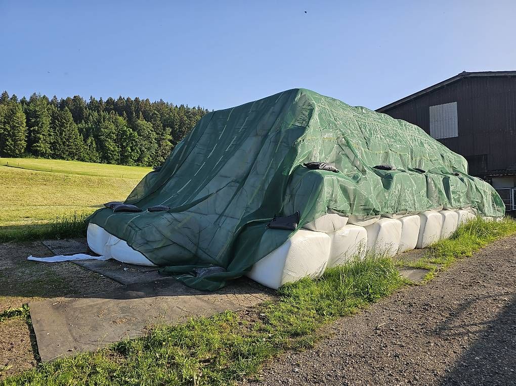Mangimi: Maissiloballen ca. 800Kg – Nuovo (secondo la descrizione) da Dietschwil venduto da mic_929r