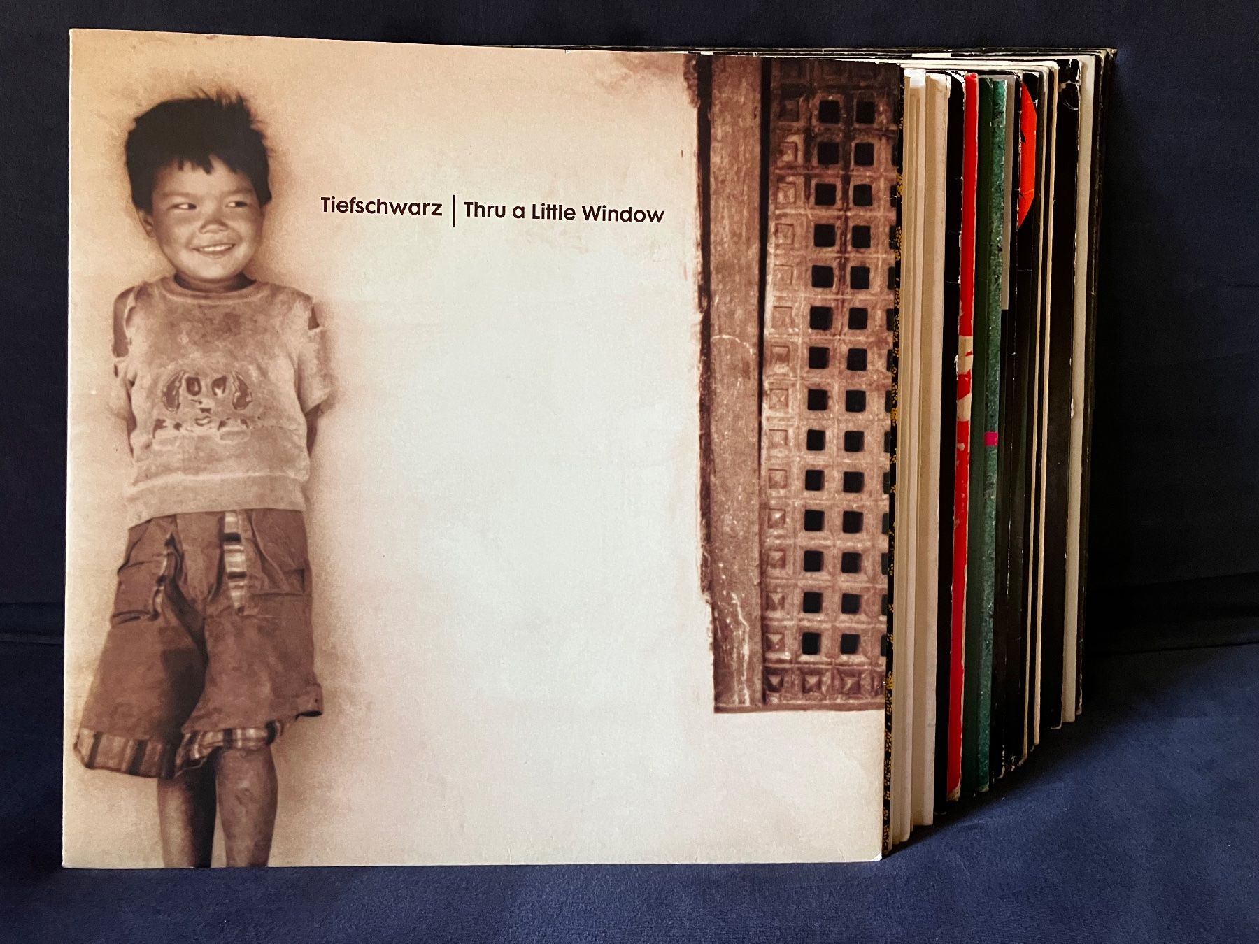 Dischi in vinile: House/Techhouse/ElektroHouse/Techno Vinyl Sammlung – Usato da albinen venduto da Pethoq