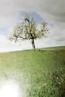 JITKA HANZLOVA (Czech, *1958) Fotomuseum Winterthur, 2001