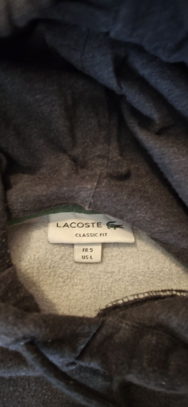 Lacoste Pullover & Sweatshirts: Lacoste Pullover L – Neu (gemäss Beschreibung) aus Rothenburg von nadine094 1