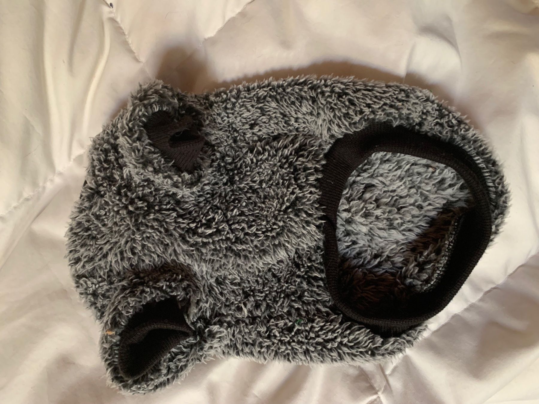 Abbigliamento: pull-over petit chien – Usato da Turbach venduto da mel_q2ry 1