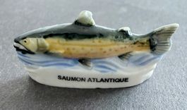 Fève  "Saumon Atlantique" Aquarium de Touraine...