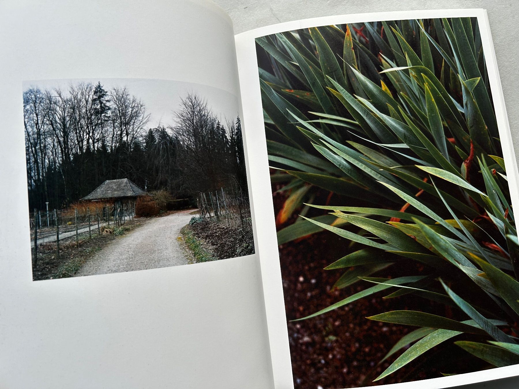 Libri: Fotobuch "Thomas Struth Löwenzahnzimmer" – Usato da Zürich venduto da Coffeetable88 4