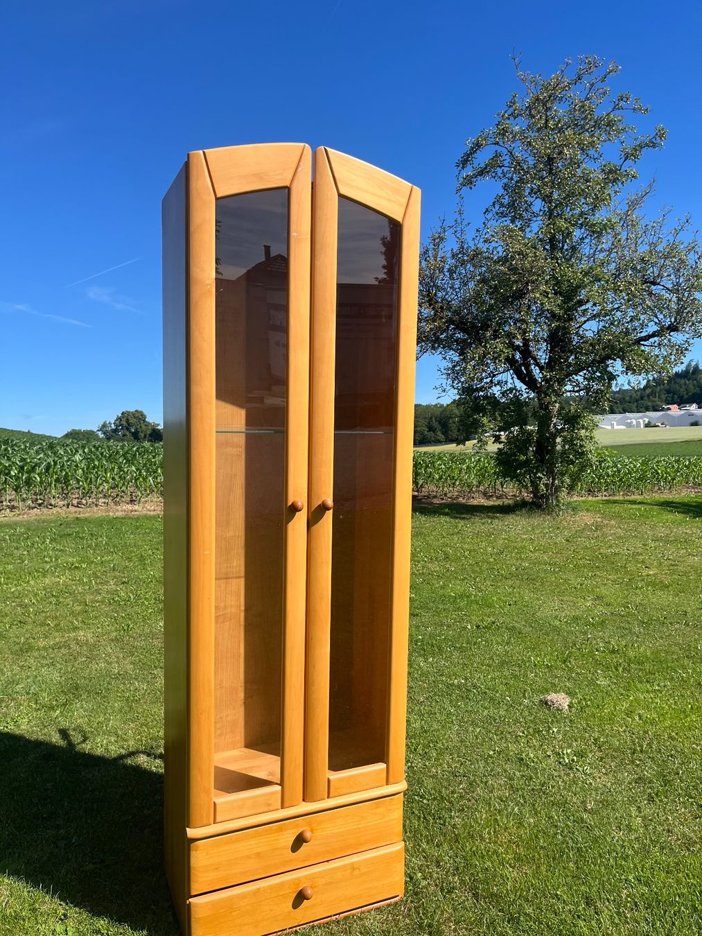 Vetrine: Vitrine 2 Türig mit Lampe ohne Kabel – Usato da Allmendingen b. BE venduto da juair