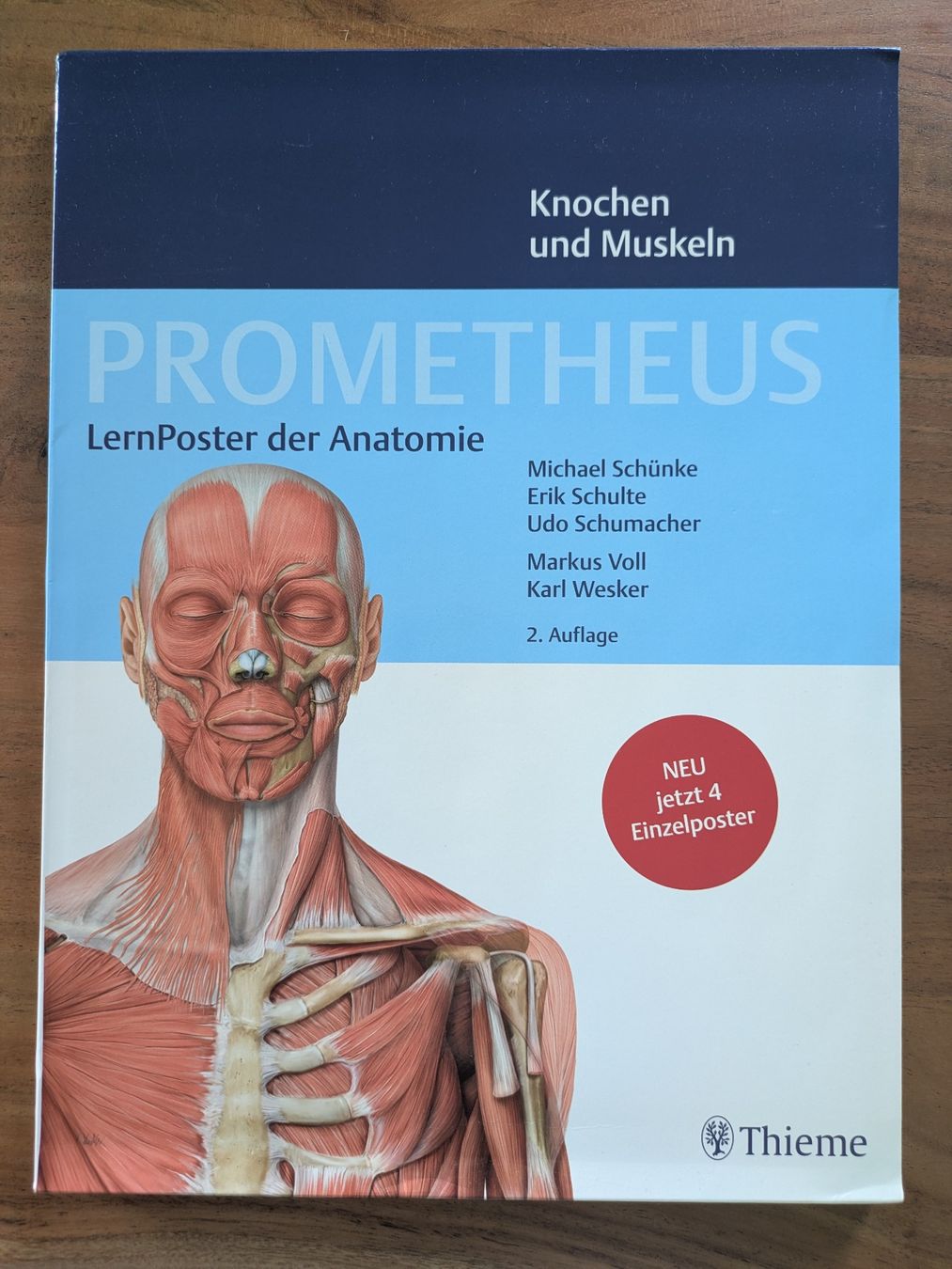Foto & Immagini: Prometheus Lernposter Anatomie – Nuovo e nell'imballaggio originale da St. Gallen venduto da sol_cc6g