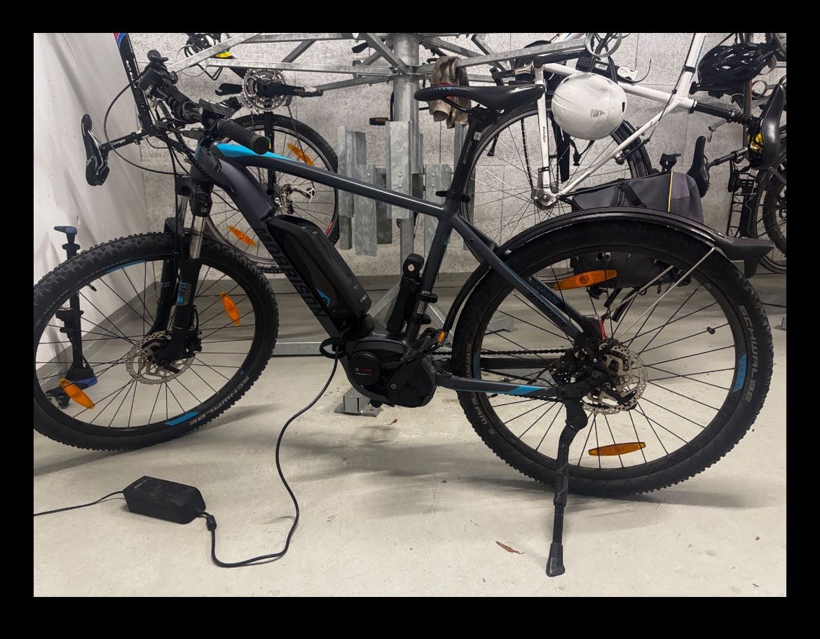 Biciclette: Morrison Cree E-Bike Mountanbike – Usato da Bern venduto da ana_78pz 1