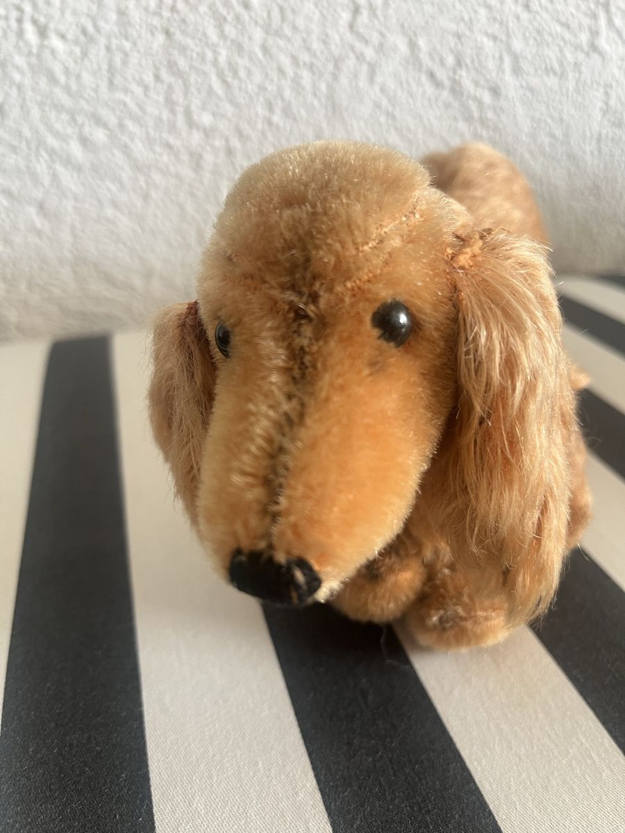 Steiff Spielzeuge: Steiff Waldi Dackel – Gebraucht aus Rorschacherberg von Artmaru 4