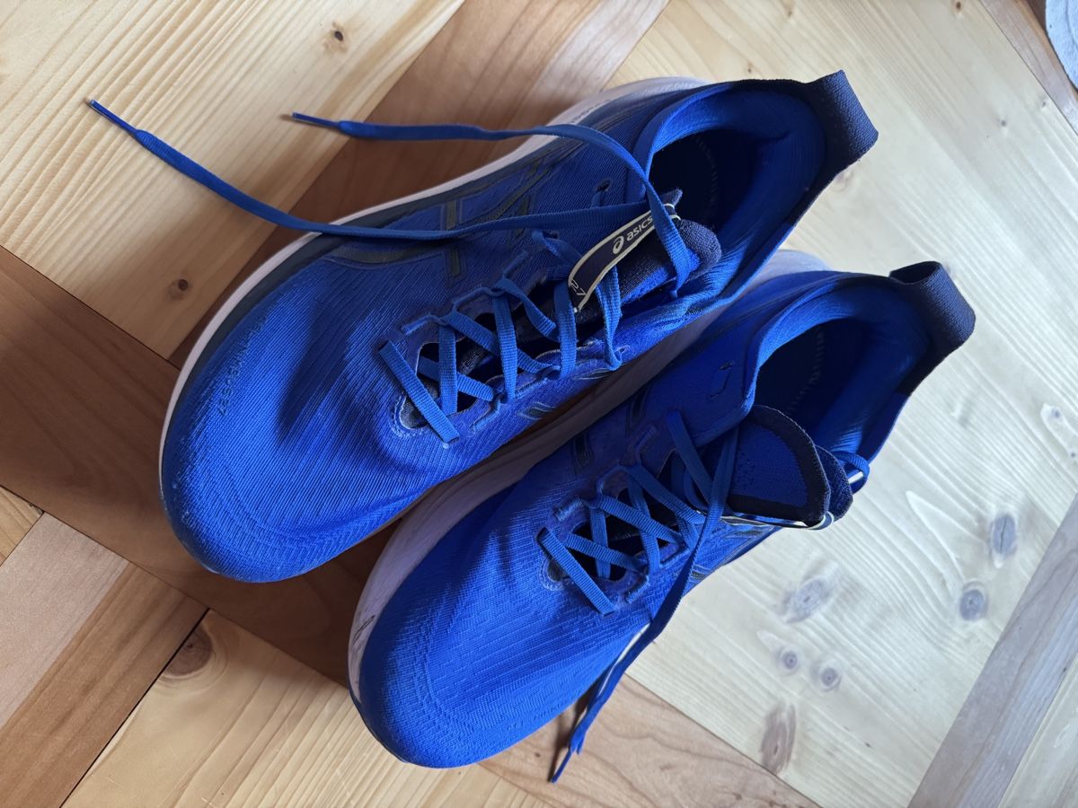 Asics Scarpe da uomo: Asics Laufschuhe, Grösse 46 – Usato da Au ZH venduto da e.nila