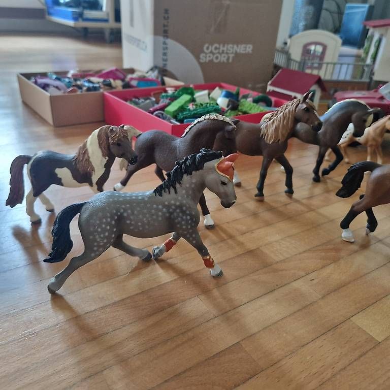 Giocattoli: Schleich super Komplettpreis – Usato da Rümlang venduto da kar_6nzq 2