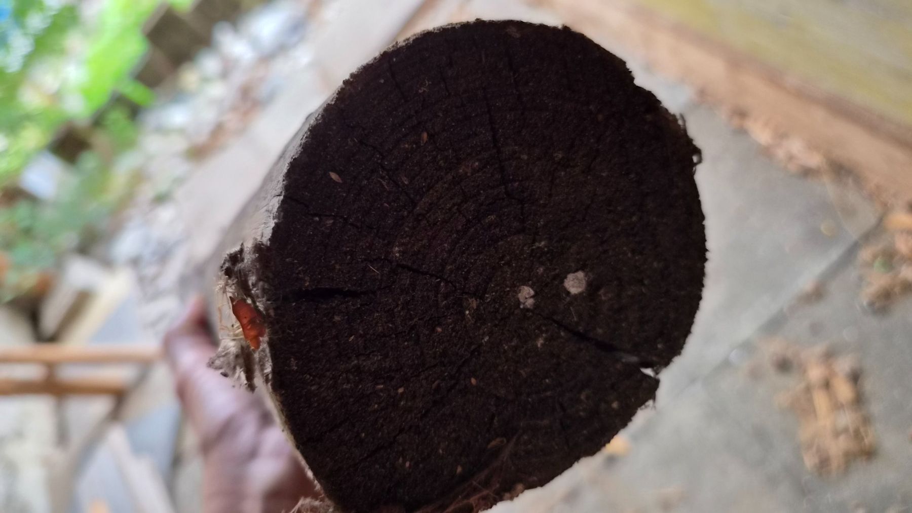 Articoli in legno: Holzpfahl Rundholz – Usato da Bischofszell venduto da -fr-5 1