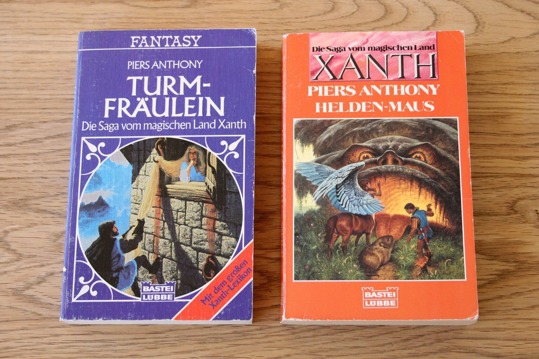 Libri: Piers Anthony - Xanth Saga - Band 1 bis 10 – Usato da Thörishaus venduto da kare07 2