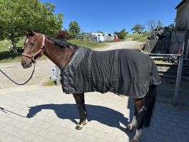 135er Back on Track dünne Pferdedecke