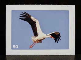 MIGROS MANIA Nature Detectives Nr. 50