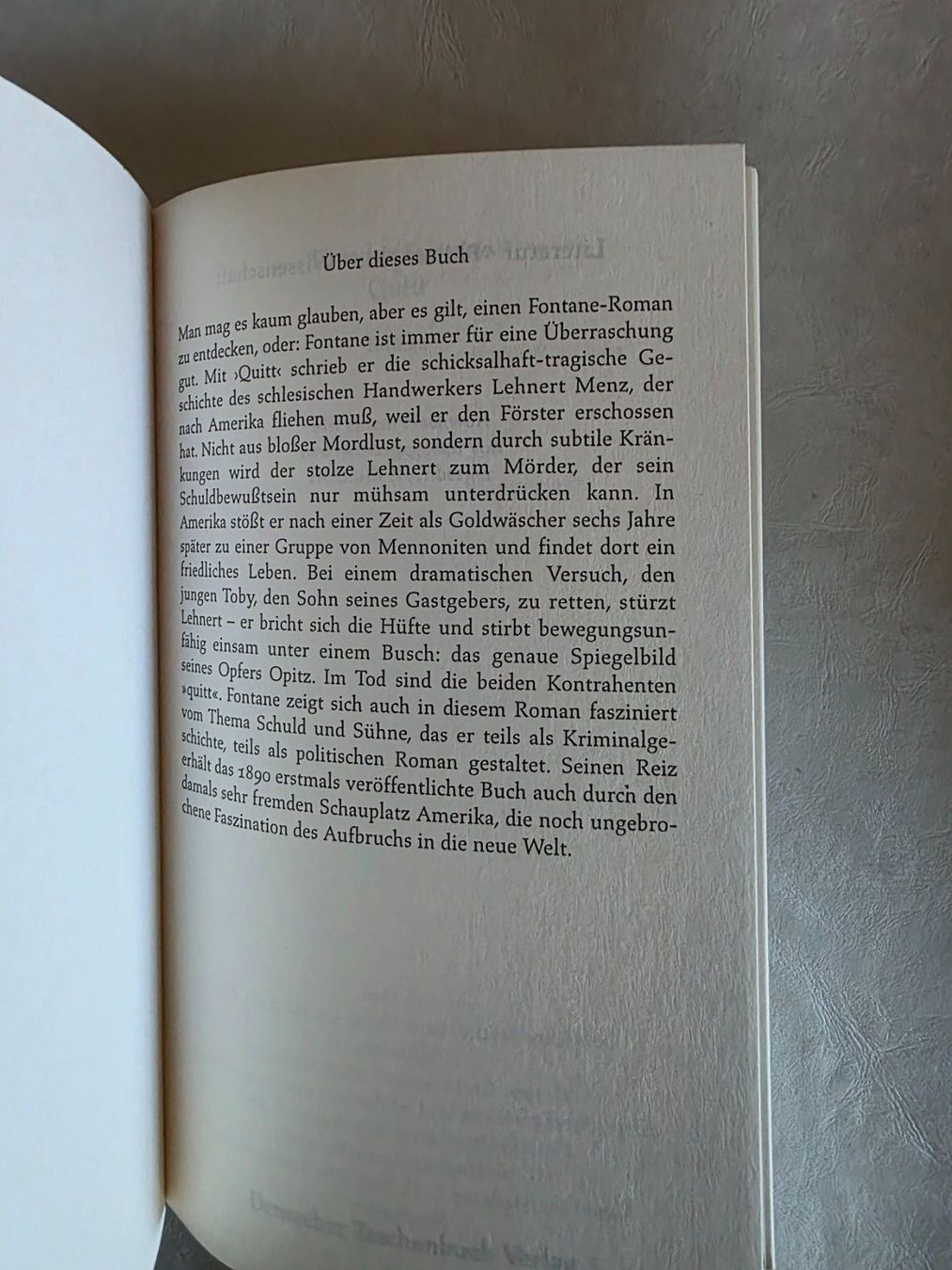 Bücher: Theodor Fontane - Quitt - dtv Klassiker - 1996 – Gebraucht aus Walterswil BE von Lonitti 6