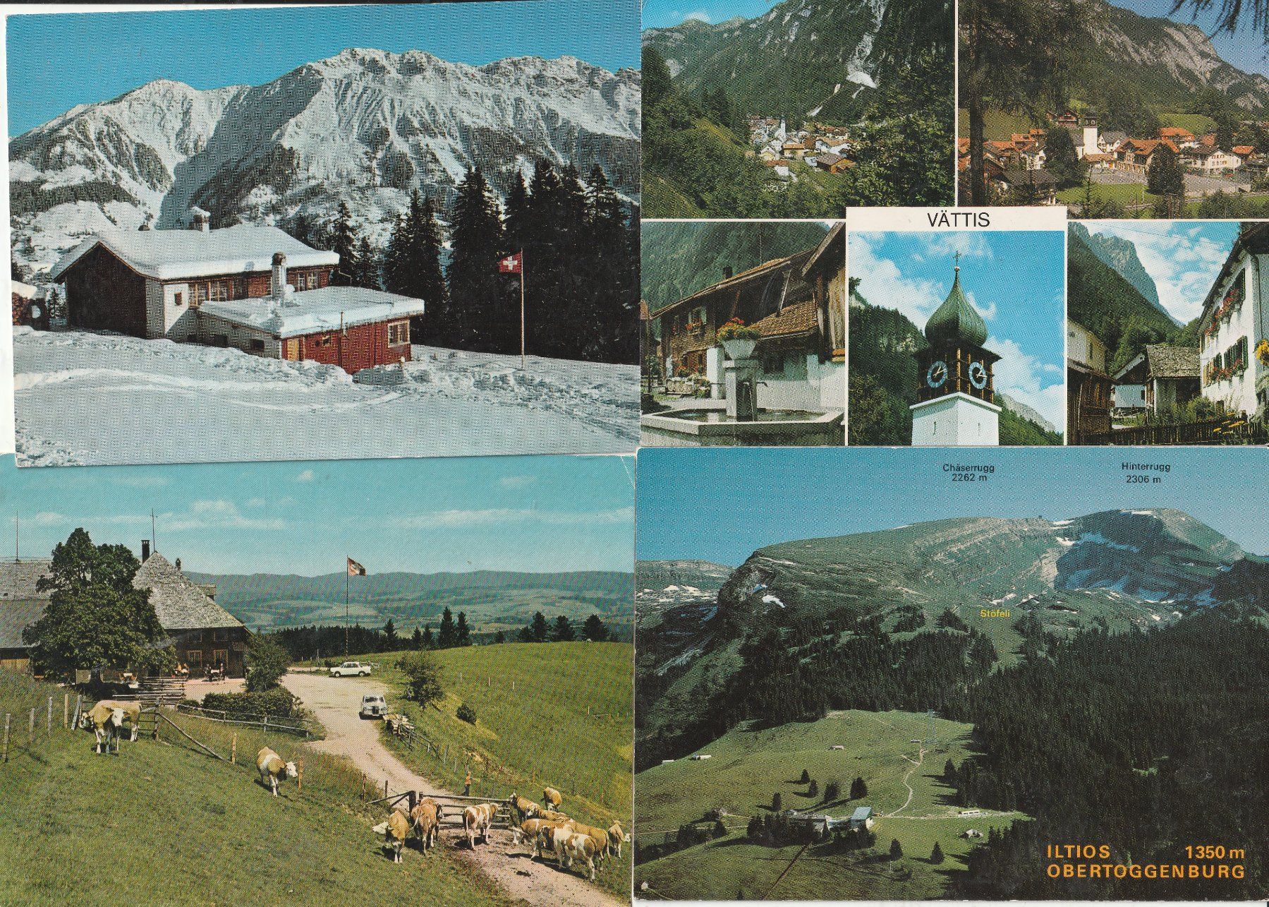 Cartoline postali: 40 Diverse Karten Schweiz – Usato da Lumbrein venduto da made02 4