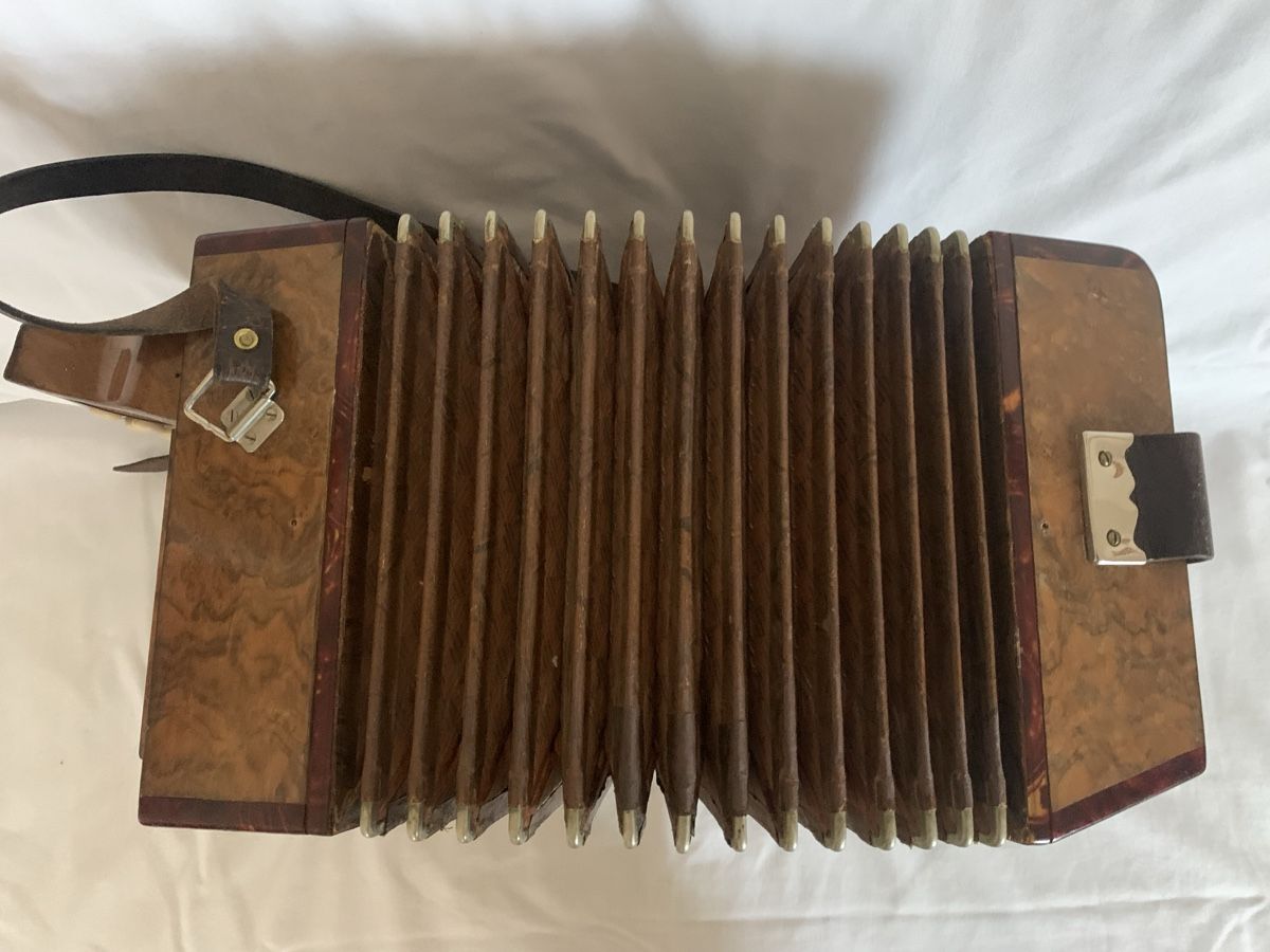 Strumenti musicali: Diatonische Handorgel – Usato da Zürich venduto da Olimpied 3
