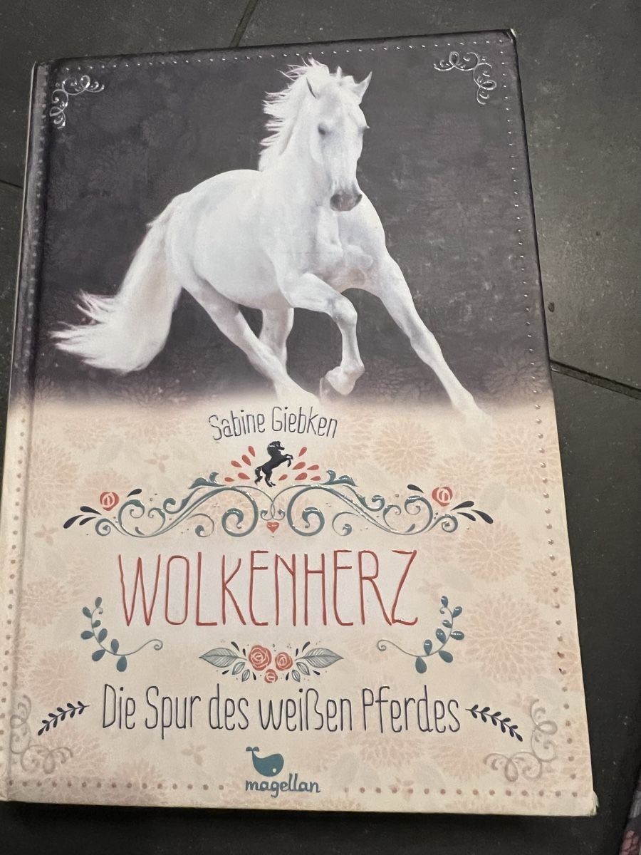 Libri: Wolkenherz – Nuovo (secondo la descrizione) da Flims Waldhaus venduto da casagrondasilvia 3