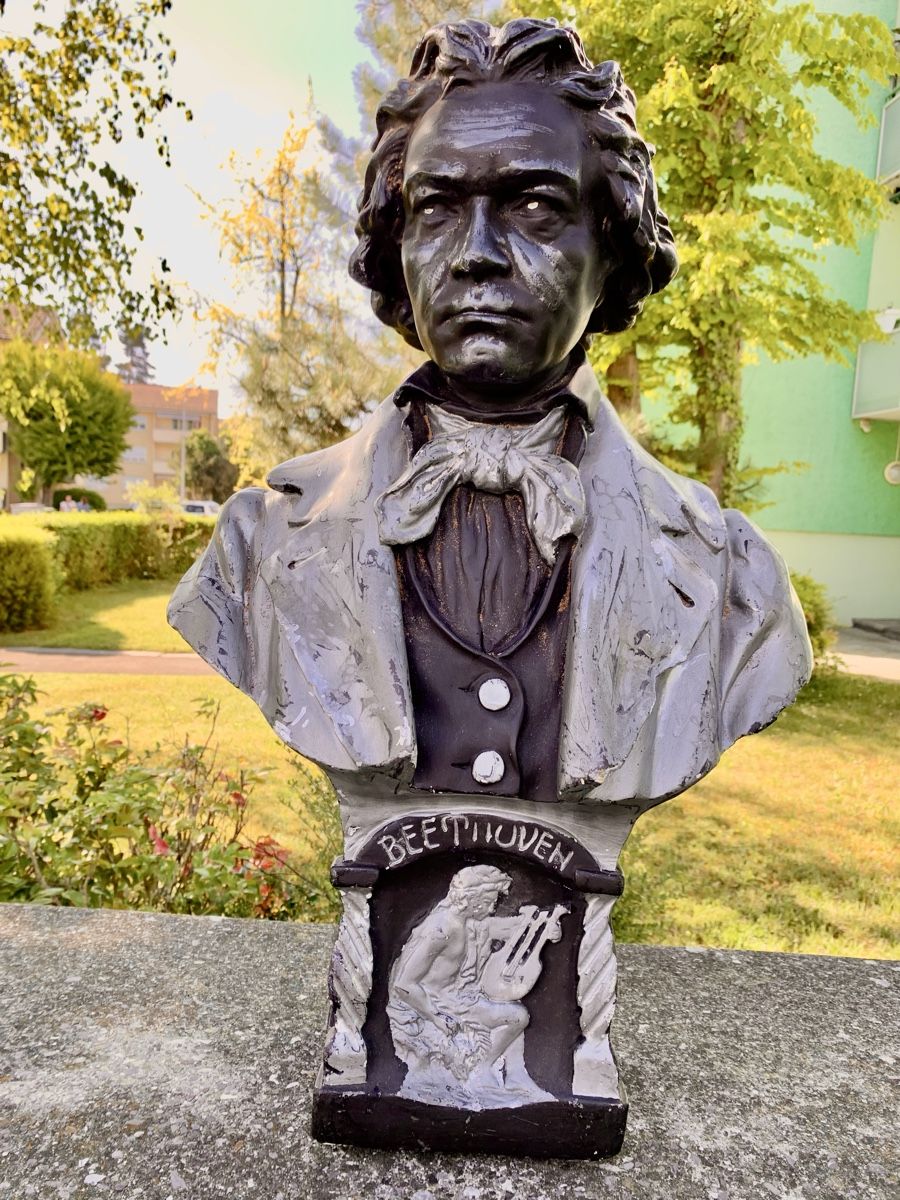 Sculture & Statue: Beethoven Büste, Bigeletum Isch München – Usato da Wallisellen venduto da Died