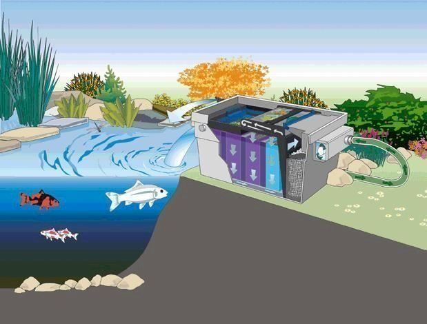 Oase Pompe & Parti di ricambio: Oase BioTec ScreenMatic 40000 – Nuovo e nell'imballaggio originale da Bottighofen venduto da zaap 5