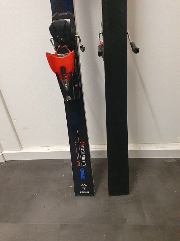Dynastar Sci: DYNASTAR OMEGLASS GS  165cm -TOP ANGEBOT- – Usato da Grabs venduto da VUK10 2