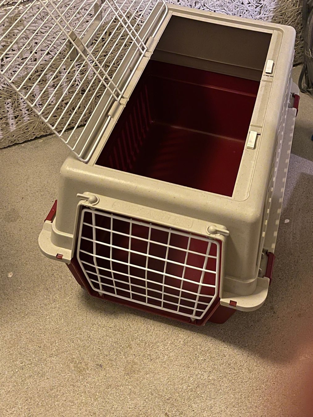 Liege- & Schlafplätze: Katzen-Transportkiste – Gebraucht aus Zürich von Pitschi17