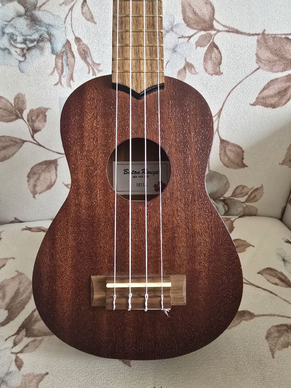 Instruments de musique: Ukulele – D'occasion à Winterthur par Peykk 2