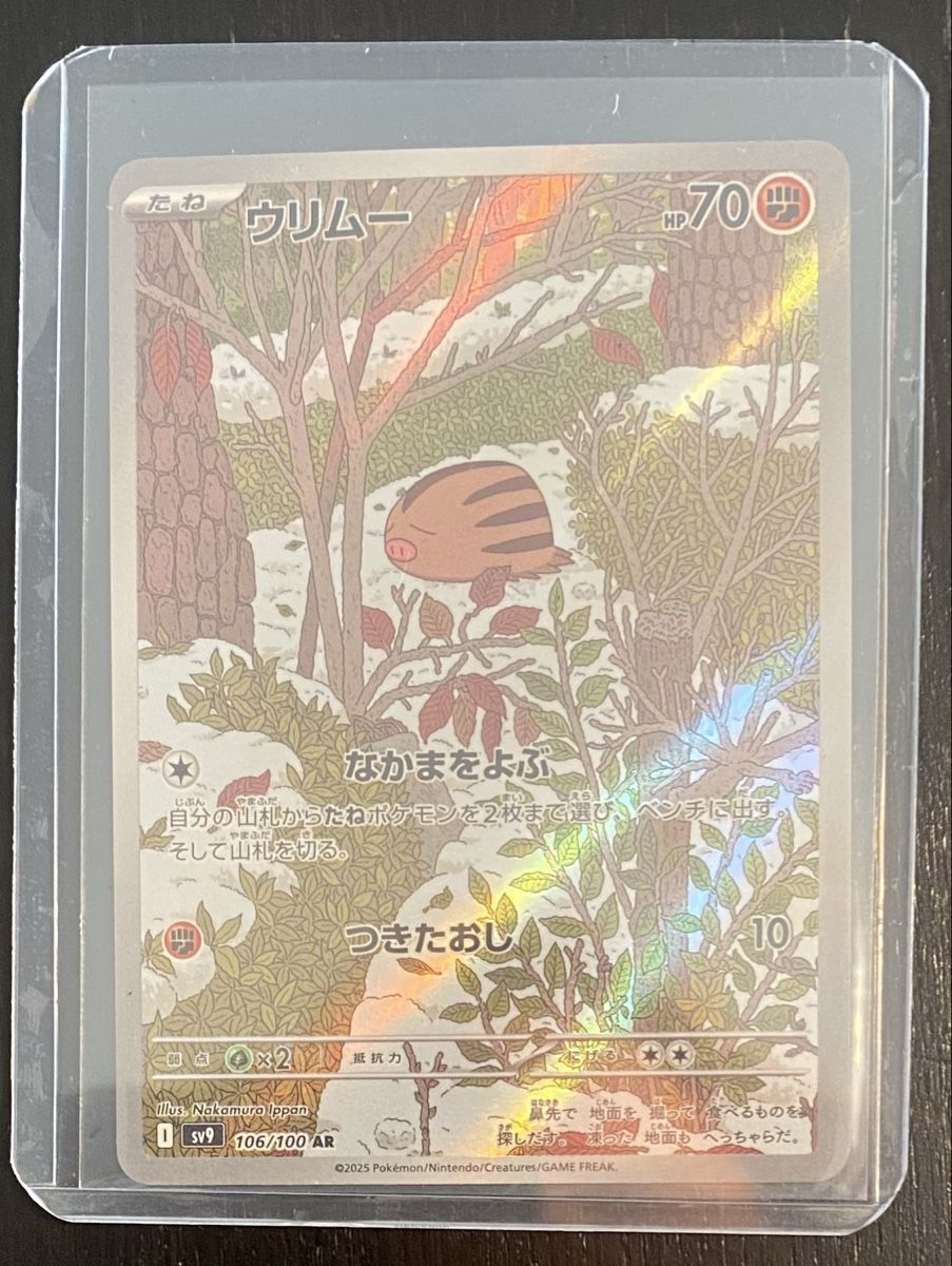 Pokémon Cartes à collectionner: Swinub #106 AR - Battle Partners 2025 – D'occasion à Unterentfelden par KoolAid-WhiTe