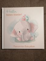 Hallo, kleines Wunder! Mein erstes Babyalbum