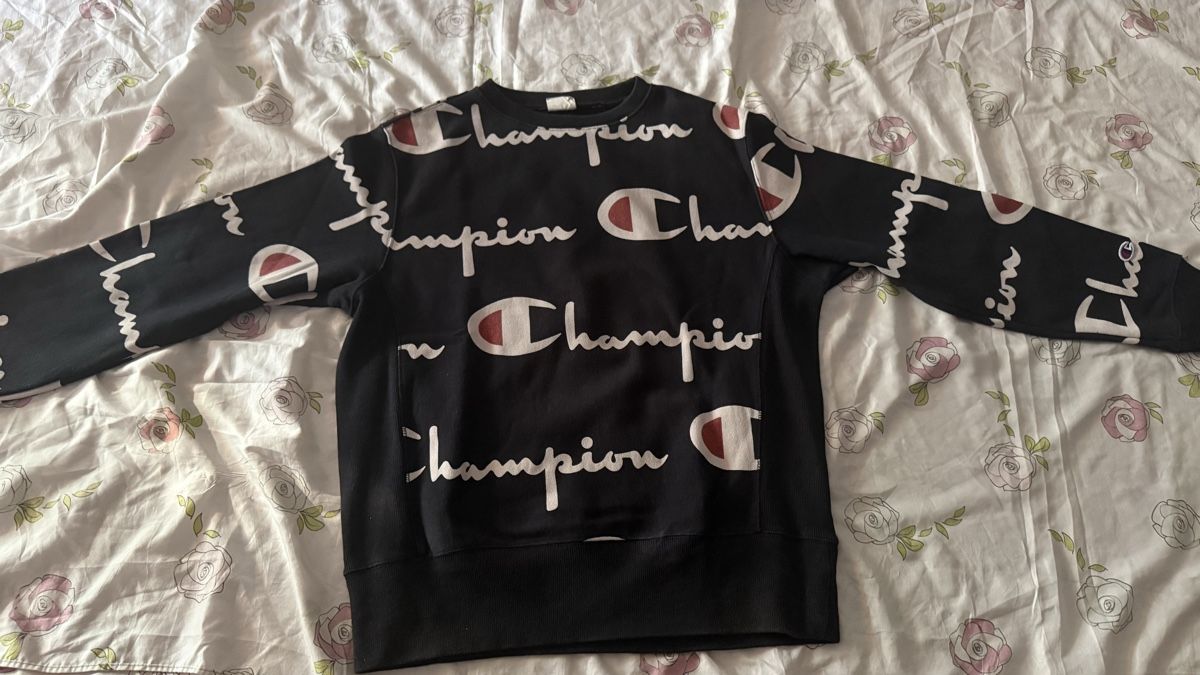 Champion Maglioni & Felpe: Pullover champion  – Nuovo (secondo la descrizione) da Biel/Bienne venduto da glaewynnshop