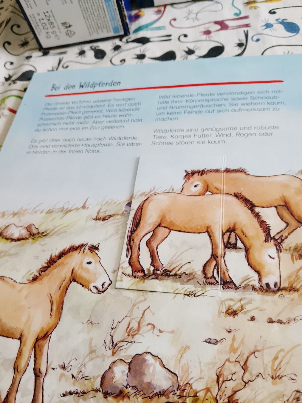 Libri: Pferde und Ponys  – Usato da Volken venduto da katz5 4
