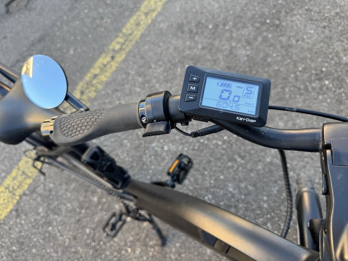 Eflizzer Biciclette: Eflizzer e-bike City V2 – Usato da Dintikon venduto da jet_q5xl 3