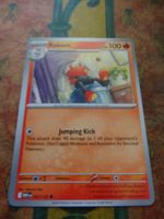 POKEMON  Raboot  I  MEG EN  027/132  HP100  2025