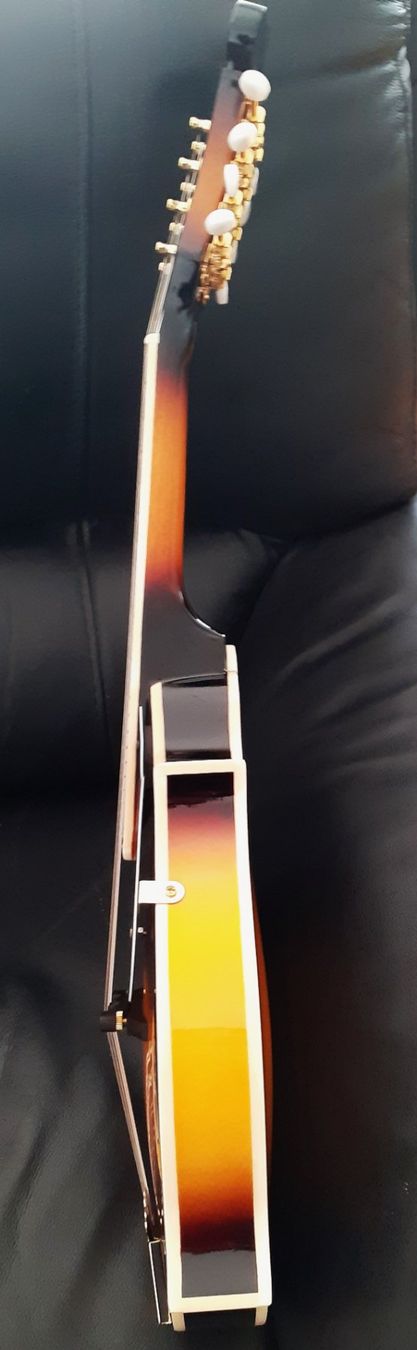 Fender Strumenti musicali: FENDER Mandoline F  TOP Bellissimo – Usato da Locarno venduto da Antonio41 3