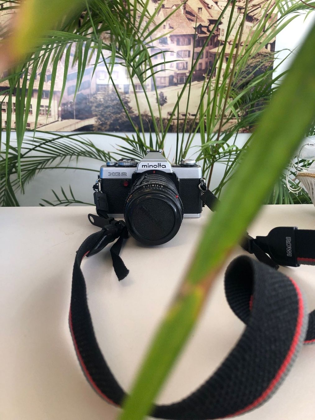 Minolta Fotocamera: Minolta XG 2 Spiegelreflexkamera ! – Usato da Brügg BE venduto da schwimmer01 4