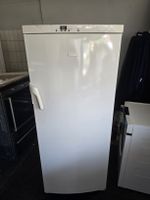 Gefrierschrank Electrolux A++