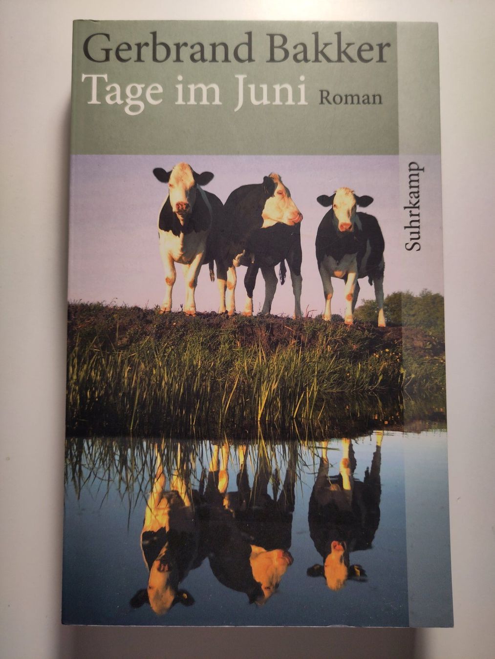Libri: Tage im Juni - Gerbrand Bakker – Usato da Bülach venduto da Tiefschlaflos