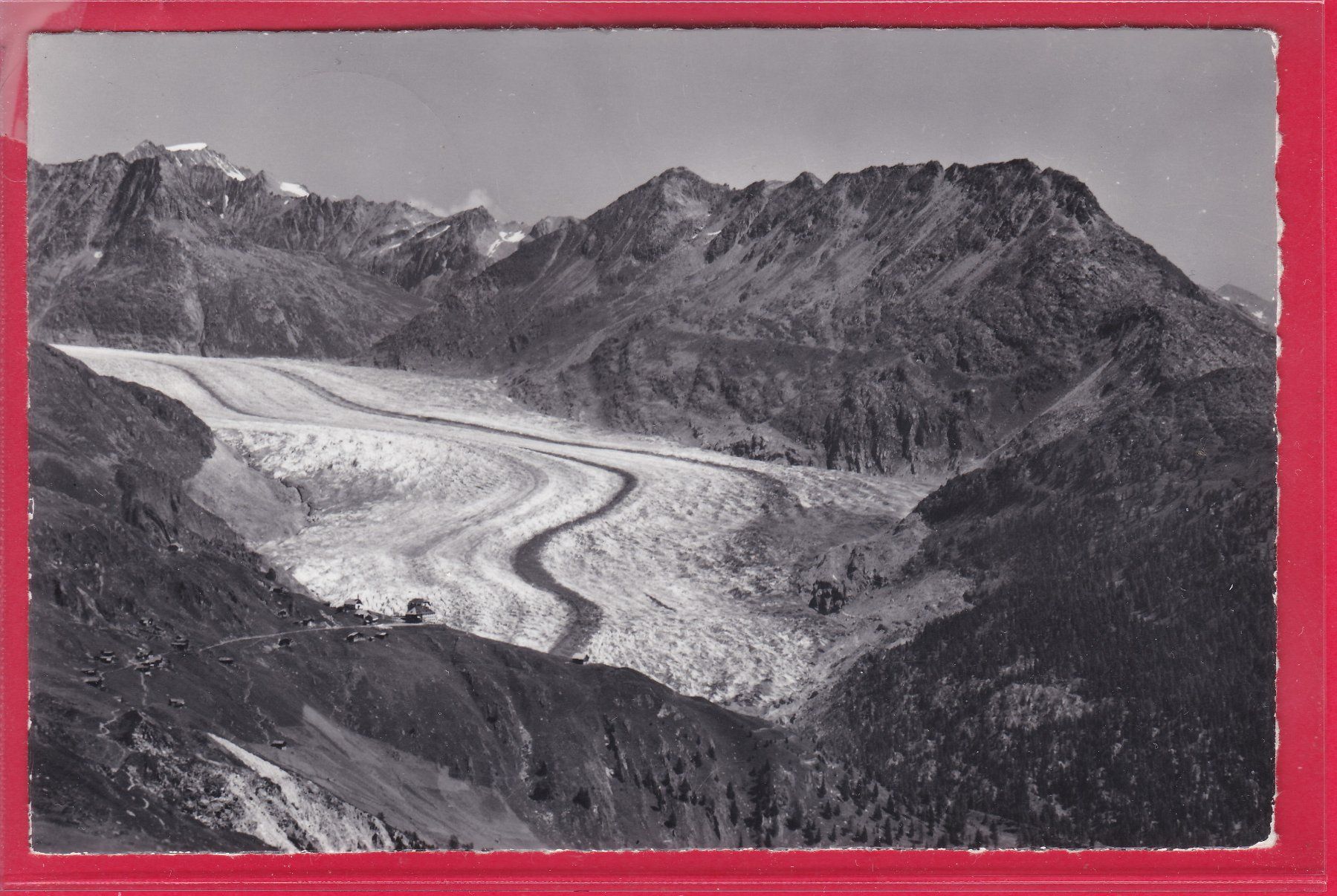 Cartes postales: GROSSER ALETSCHGLETSCHER, 6.8.1962 – D'occasion à Oberrieden par Gebirgsstelze