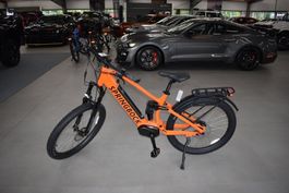 Springbock E-Bike Fully 630 mit Gepäckträder