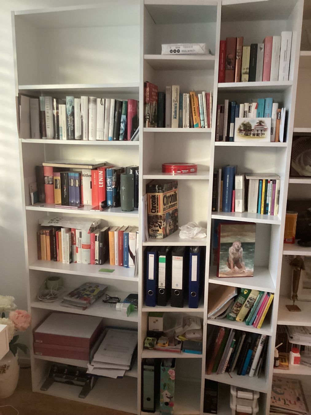 Pfister Regale: Bücherregal – Gebraucht aus Baden von Areekarl 1
